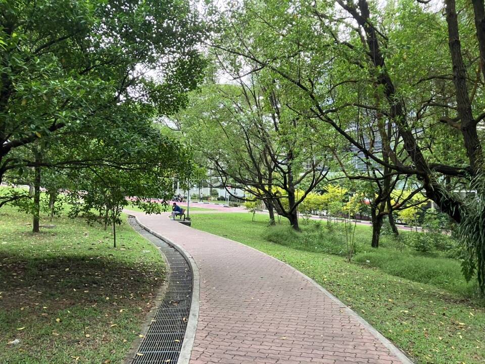 The NUS Campus is pleasant and green