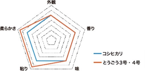 Evaluation comparing Tōgō varieties (orange) and the well-known "Koshihikari" variety (blue) in terms of appearance, scent, flavor, stickiness, and tenderness (clockwise from top) when prepared for consumption. (Provided by the Research Institute of Rice Production & Technology Co., Ltd.)