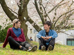 Admission requirements for G30 undergraduate programs 2026 releasedの画像
