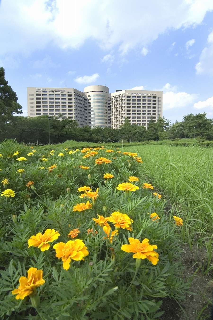 View from Tsuruma Park to the Ward of Nagoya University Hospital