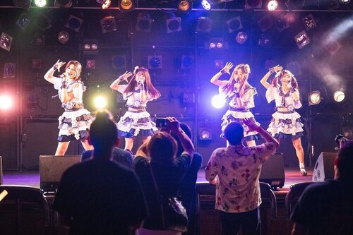 Idol Dreams and 'Academic Beams': The Unique Appeal of Gakureki no Boryokuの画像