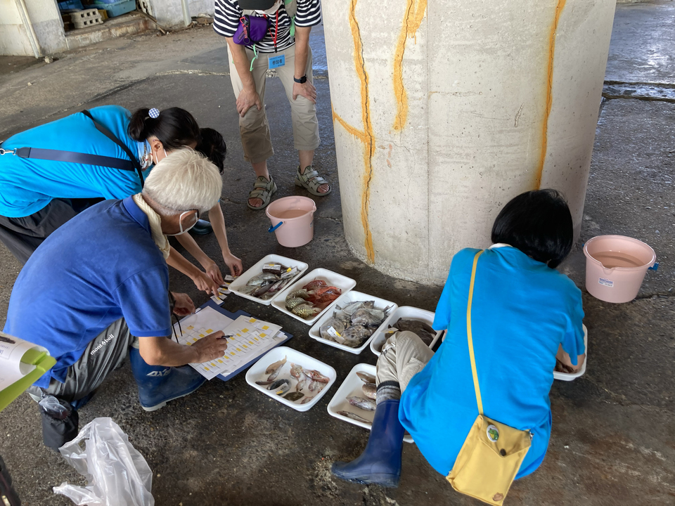 Nagoya University Museum organizes hands-on encounter with deep water fish at Toyohama Fishing Port