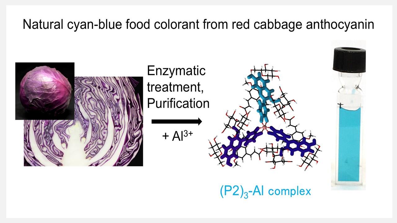 A naturally sourced colorant could replace synthetic blue dye used in the food industry