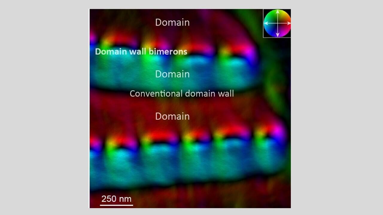 Scientists observe a new type of topological defect in chiral magnets for the first time