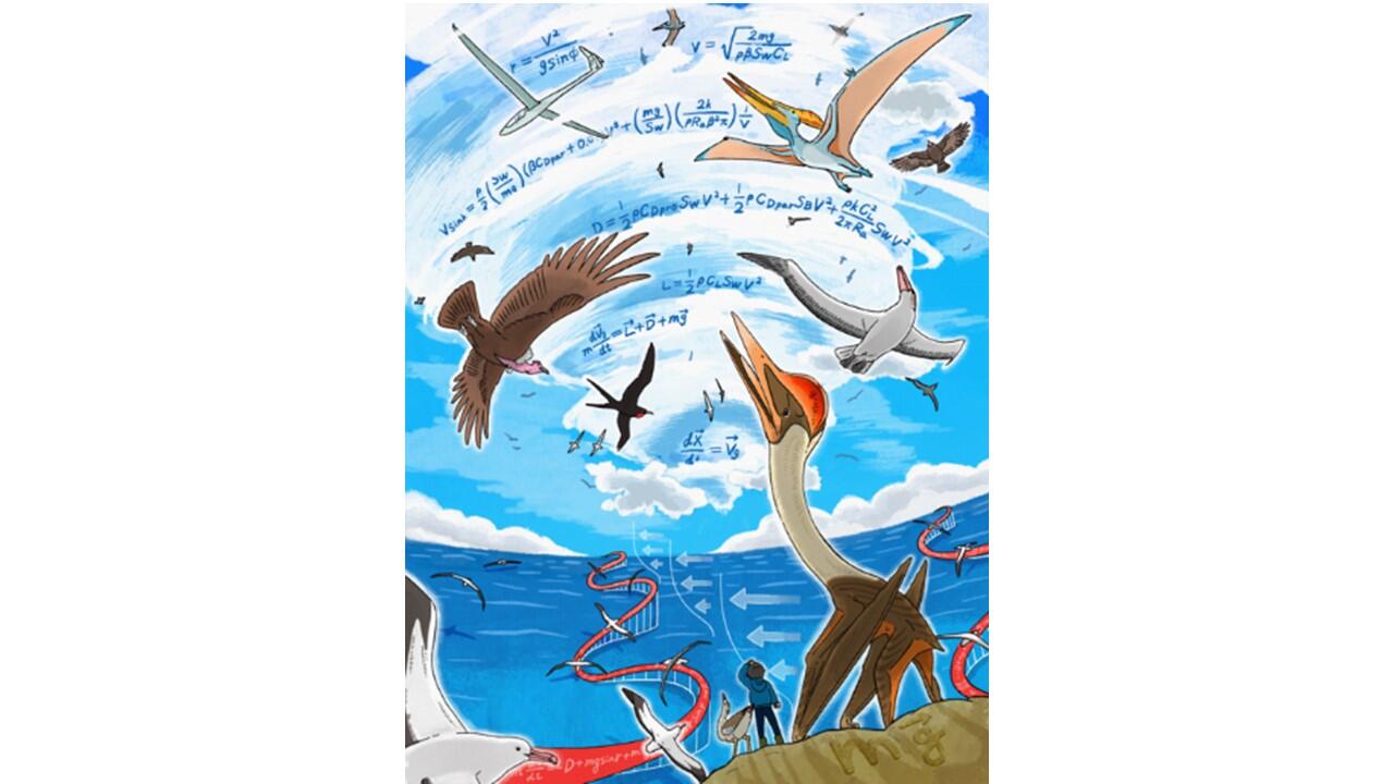 What the new Jurassic Park movie gets wrong: Aerodynamic analysis causes a rethink of the biggest pterosaur
