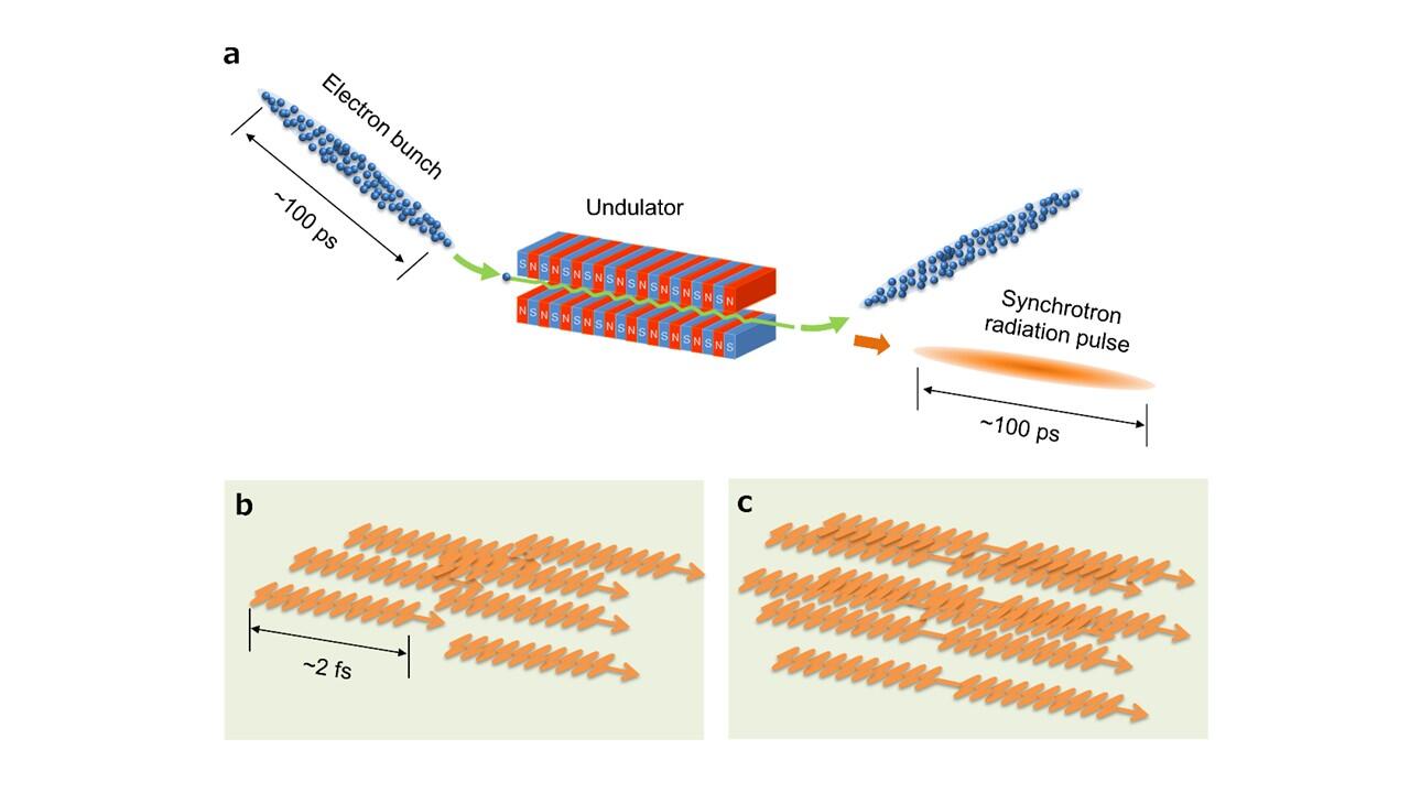 New capability in synchrotron radiation advances control, precision on attosecond time scales
