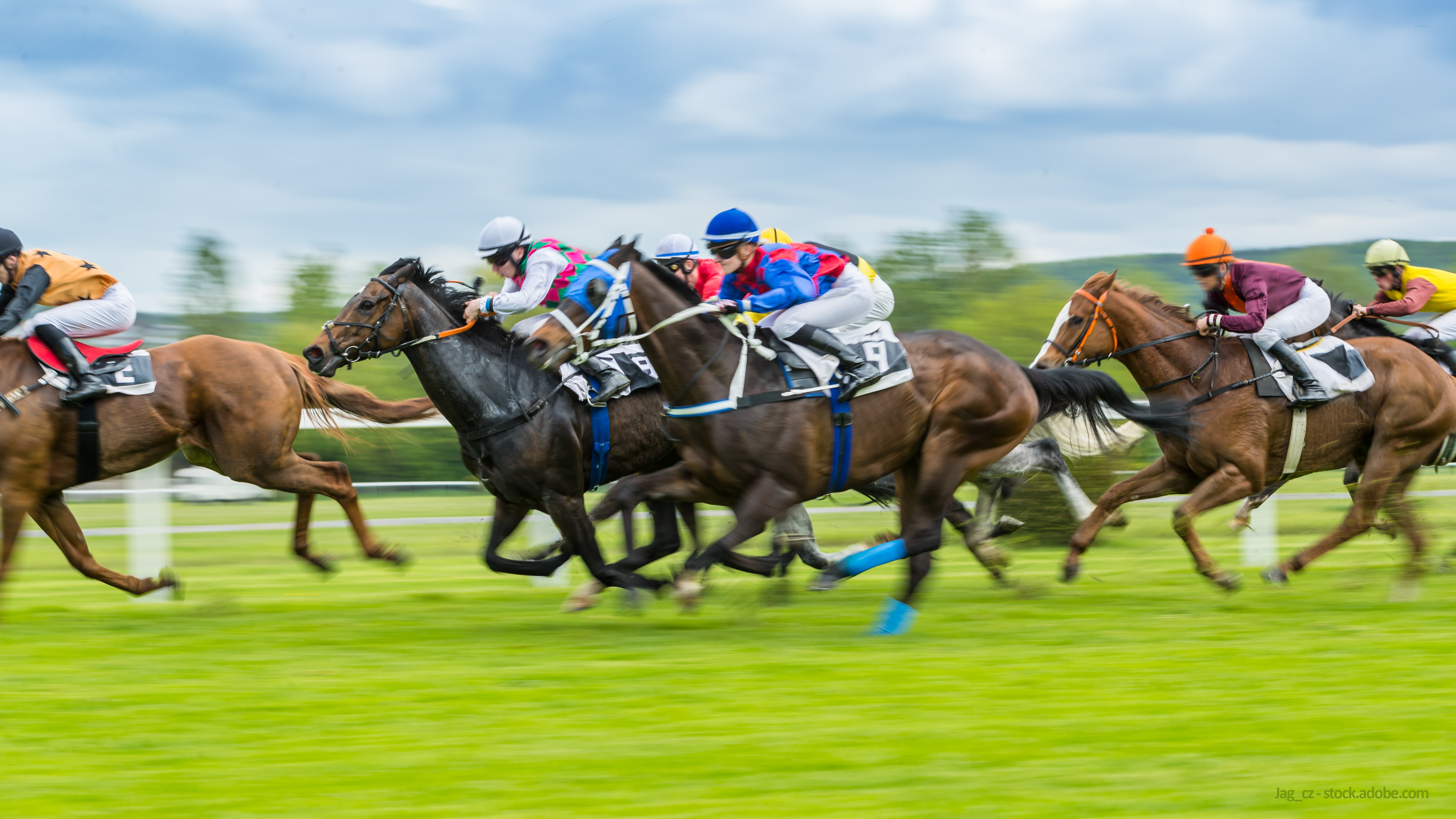 Race performance of thoroughbred horses determined by the quality of the male parent rather than the age of the female