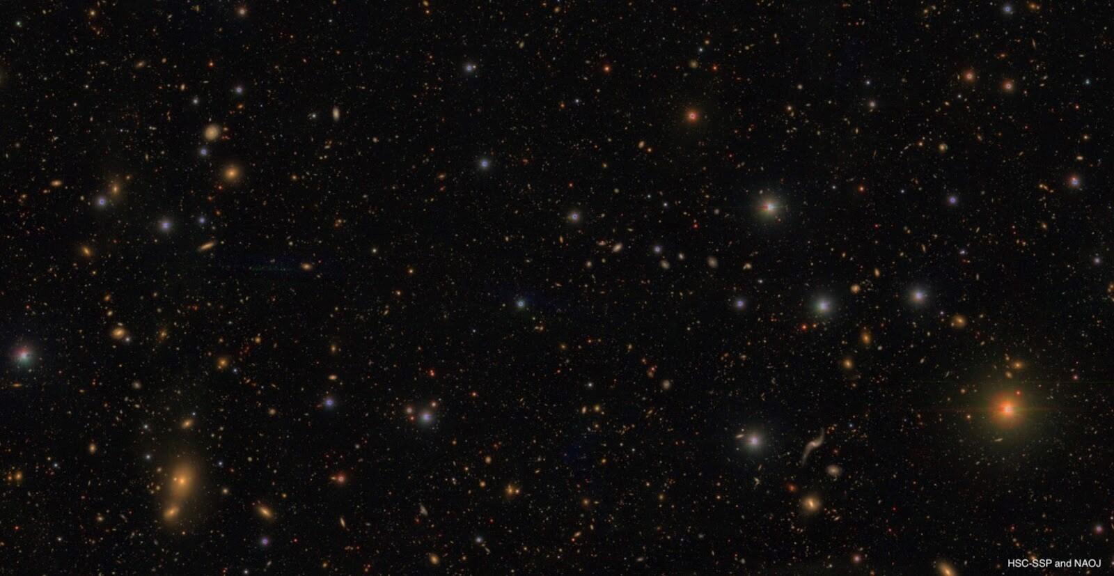 Seeing the invisible: Using dark matter distribution to test our cosmological model
