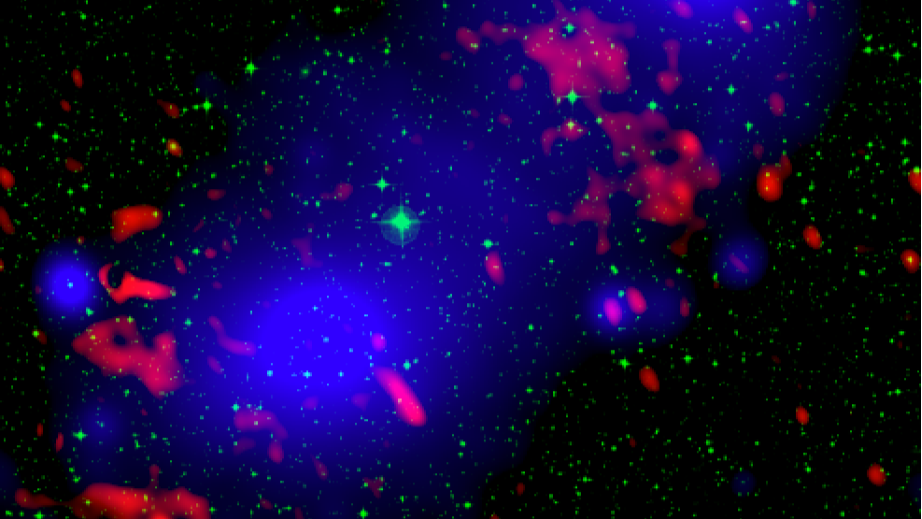Exploring the energy flow within the largest shock waves in the universe