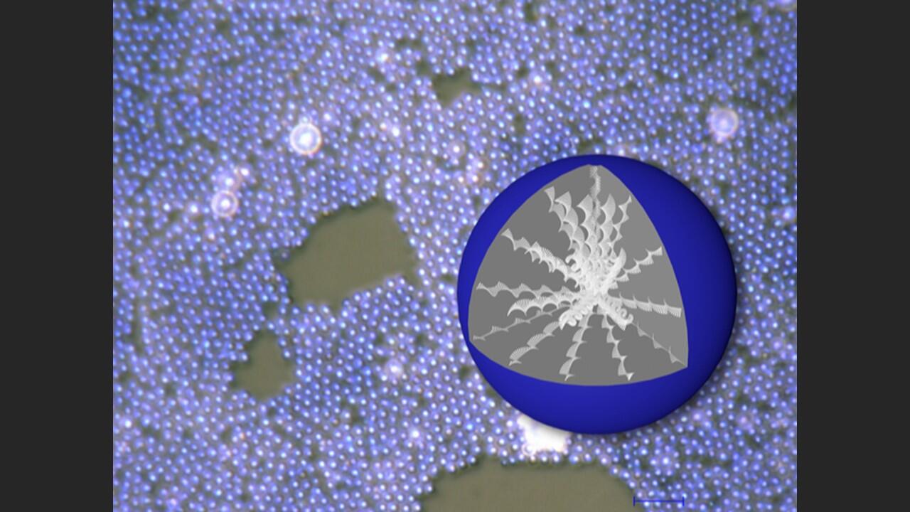 Liquid crystals that mimic beetle shell coloration units used to create more secure type of QR code