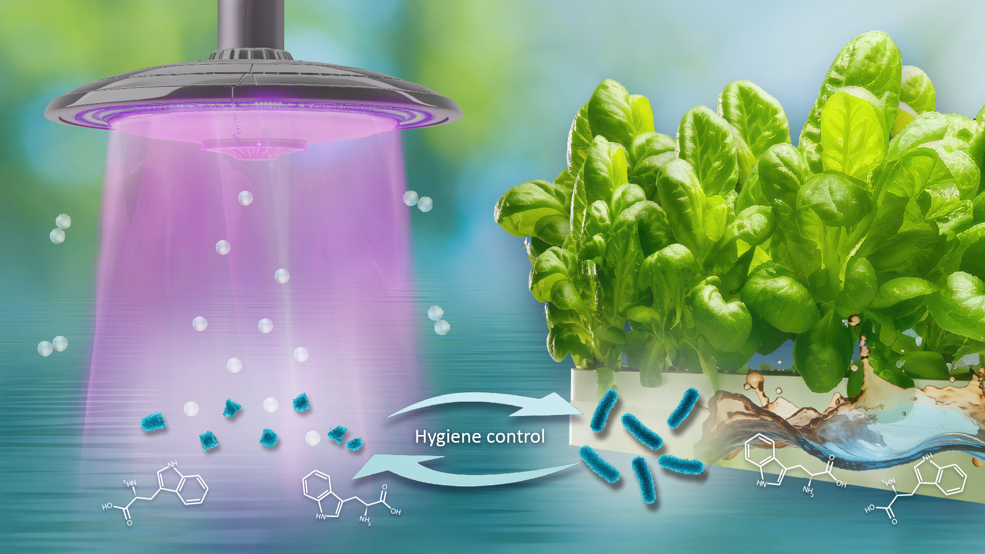 Low-Temperature Plasma used to remove E. coli from hydroponically grown crops