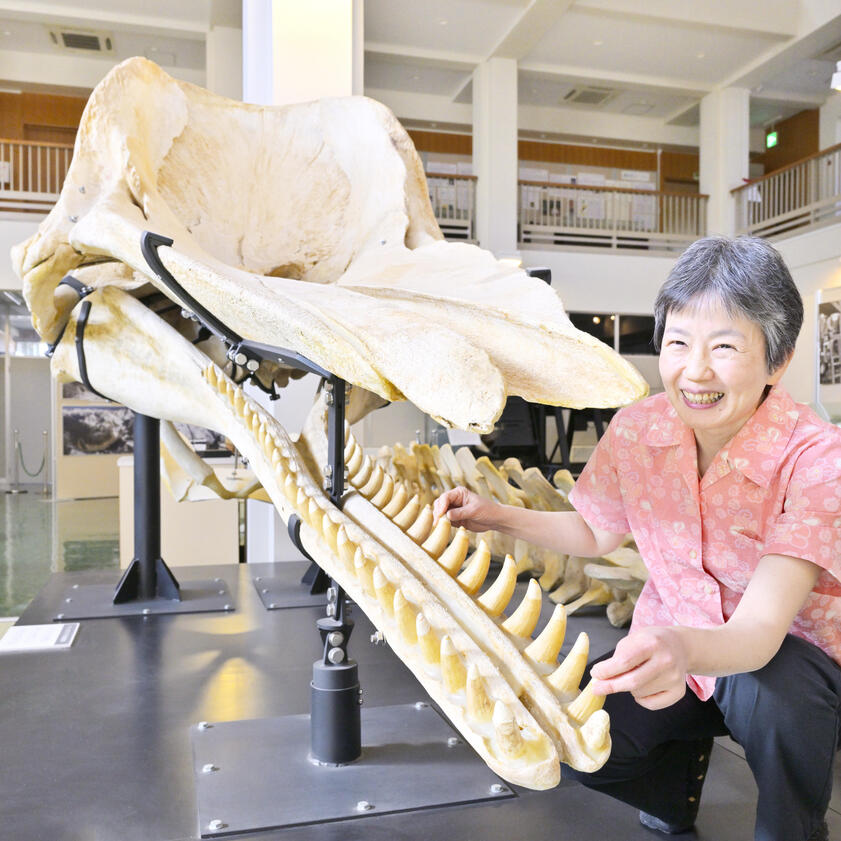 Associate Professor Michiko Niimi