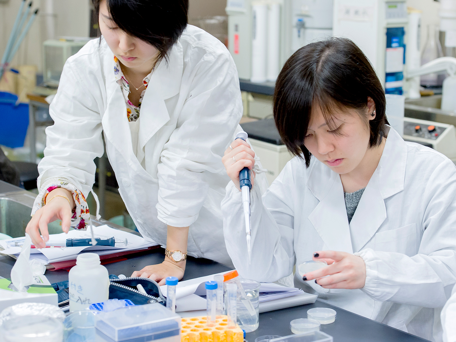 Graduate programs