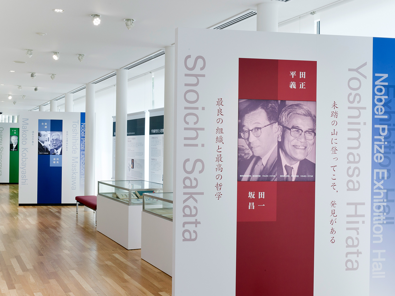 Distinguished faculty