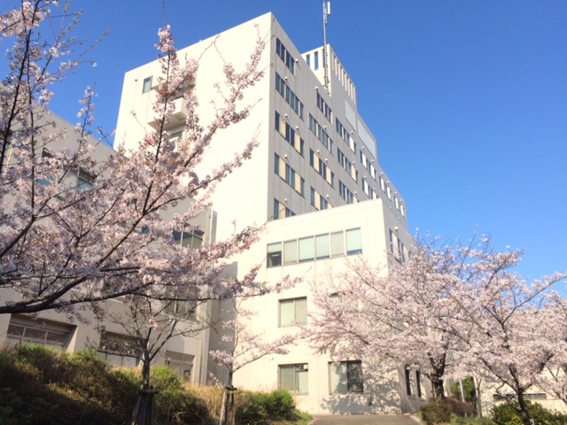 Special lecture: Universal legal identity and the Sustainable Development Goals – Leaving no one behind?