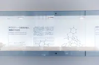 Chemistry Gallery