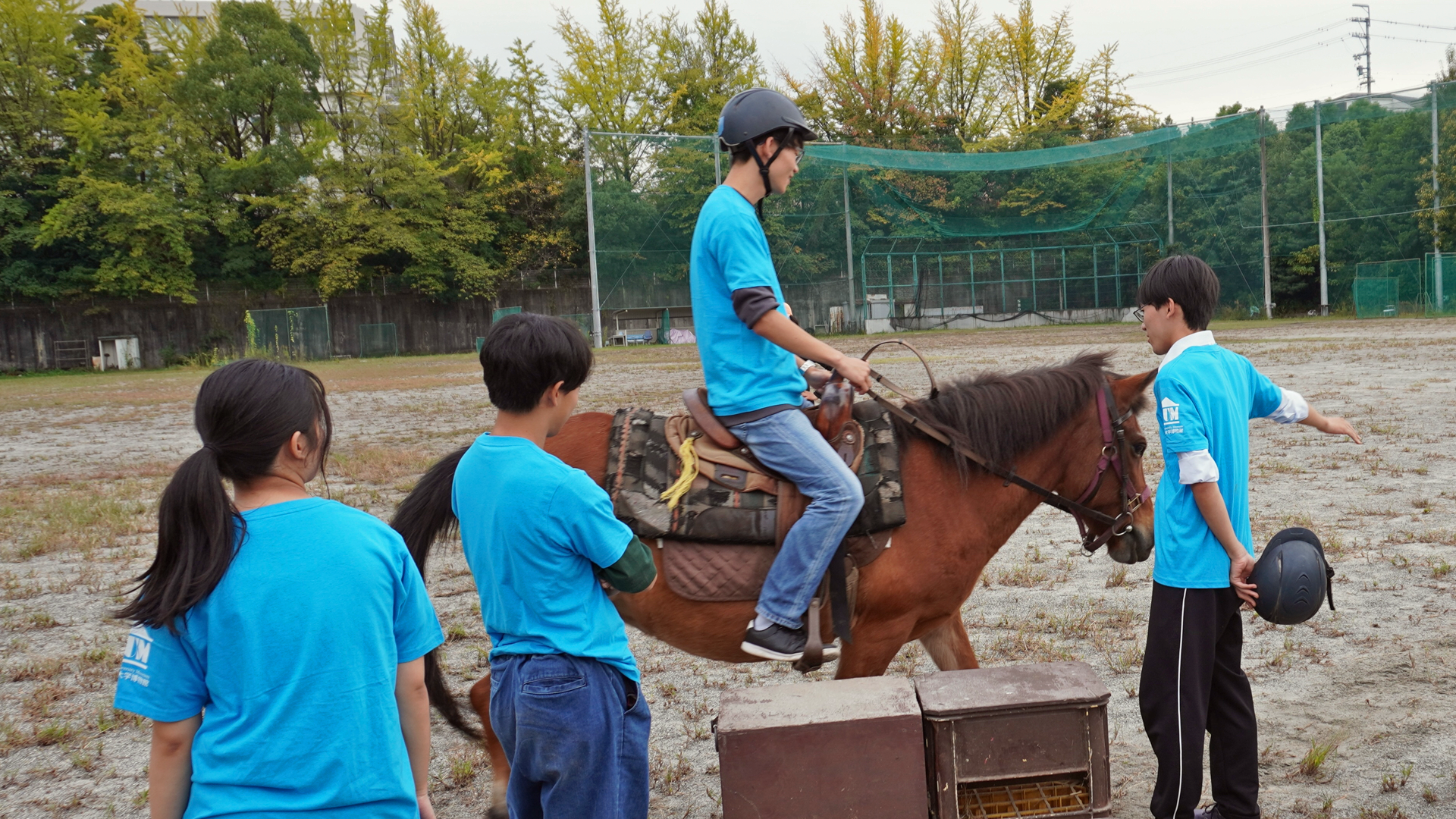 Meet a Kiso horse at Nagoya University