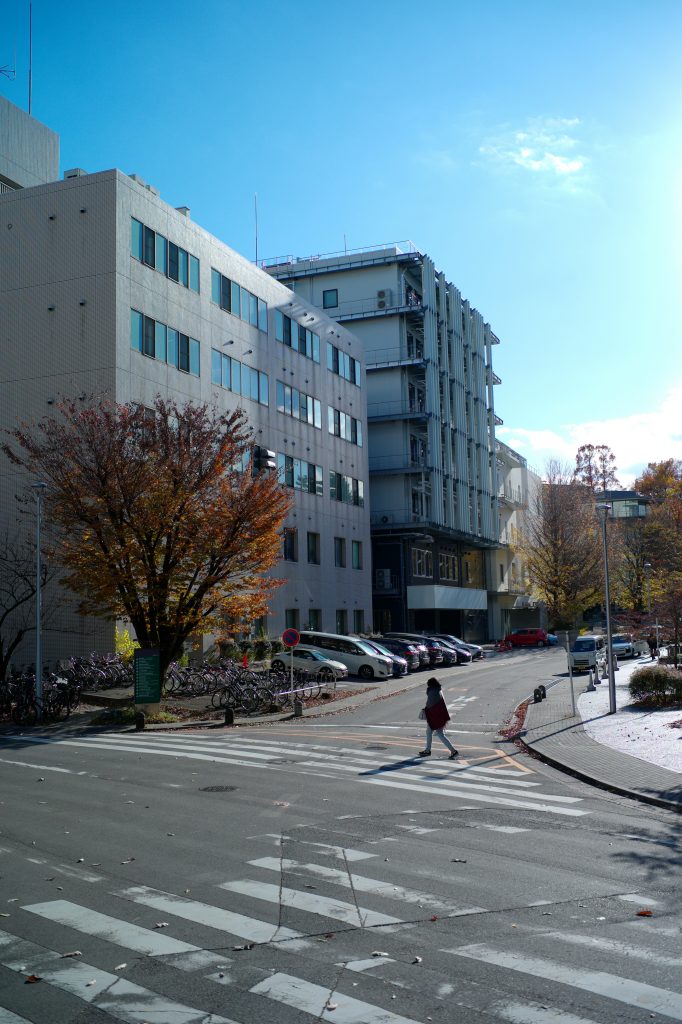 Autumn trees on the Nagoya University campus