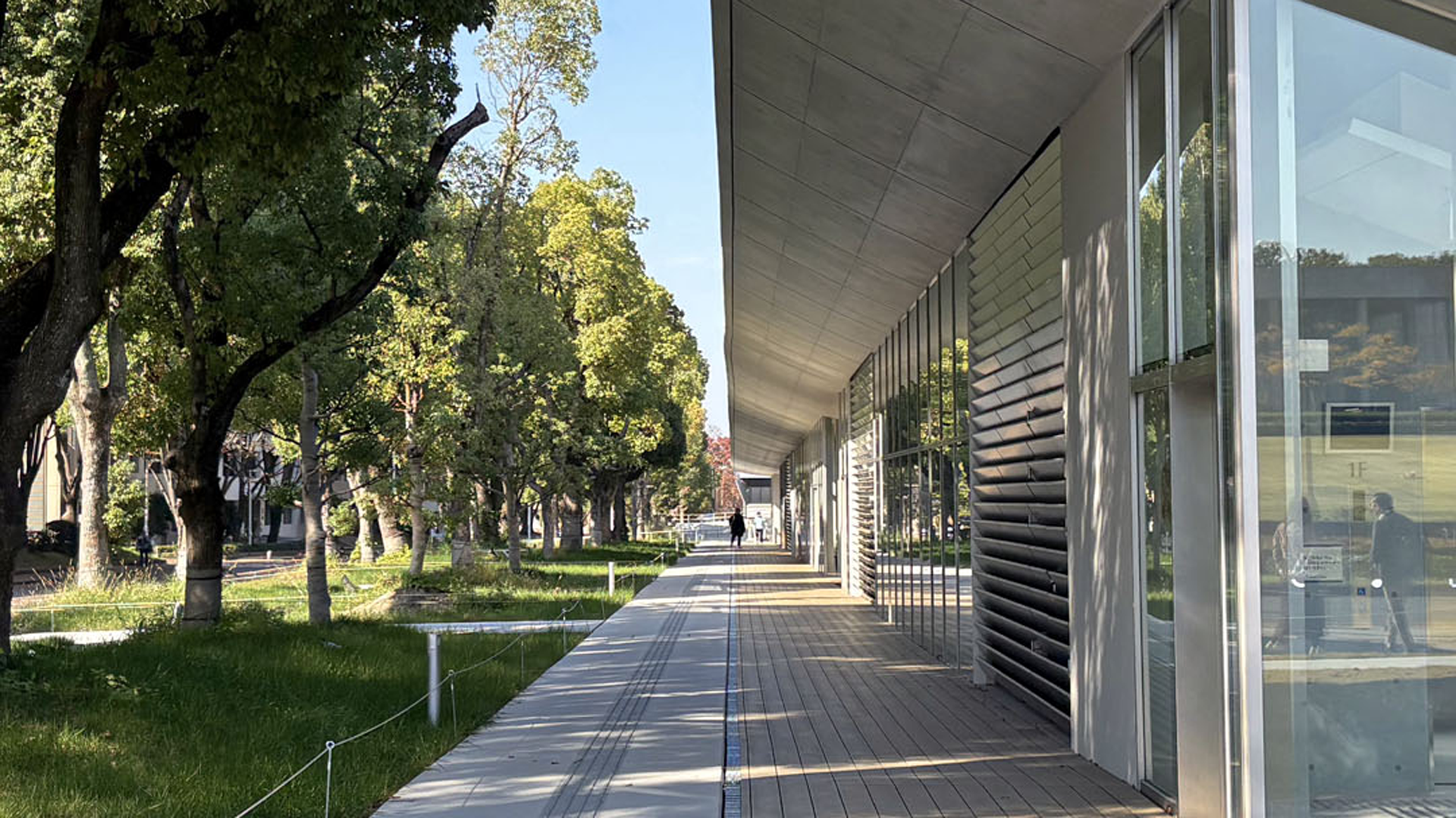 Nagoya University mathematician wins JSPS Ikushi Prize for work in algebra