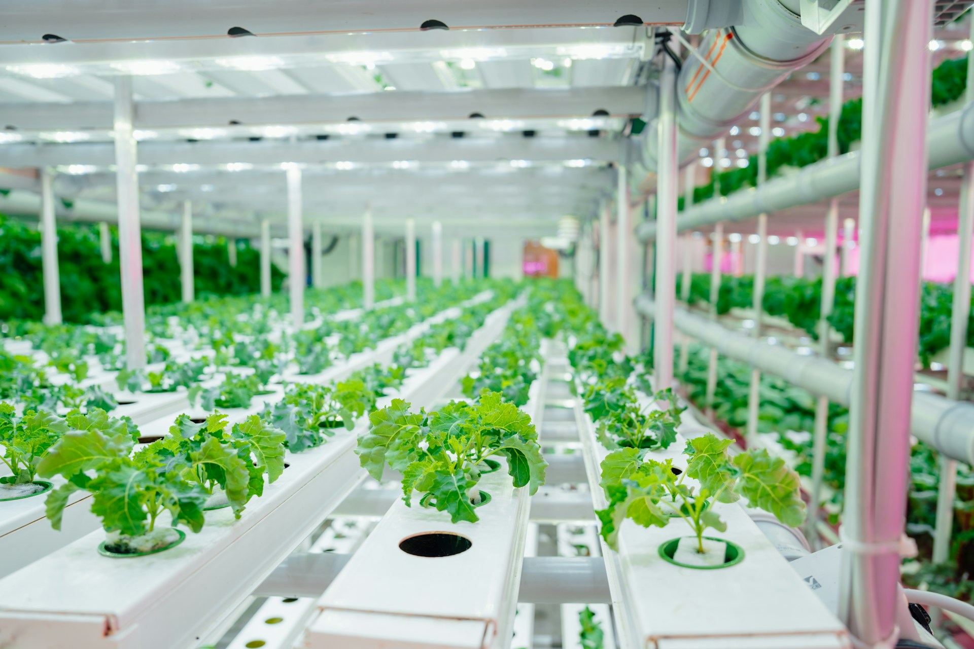 Seminar: Japan-France Seminar on Plasma Agriculture