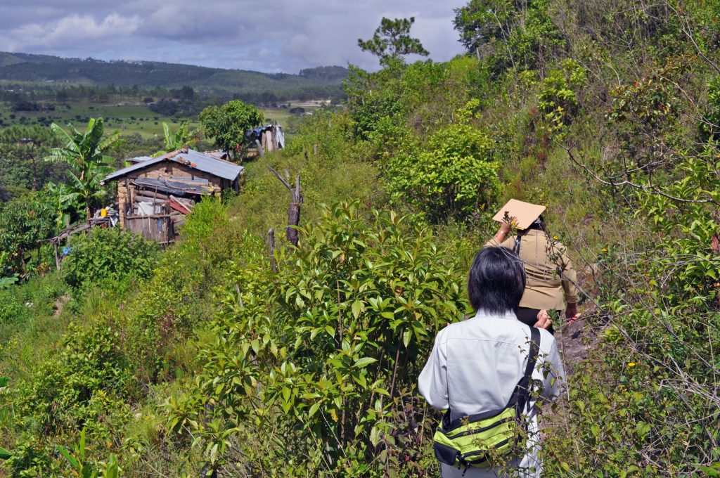 Professor Ashida and a guide walk along a path in a mountainous area to visit a student's home.