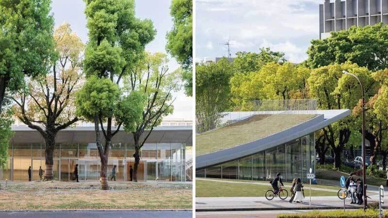 Two side-by-side images show ComoNe  and the foliage beside it.