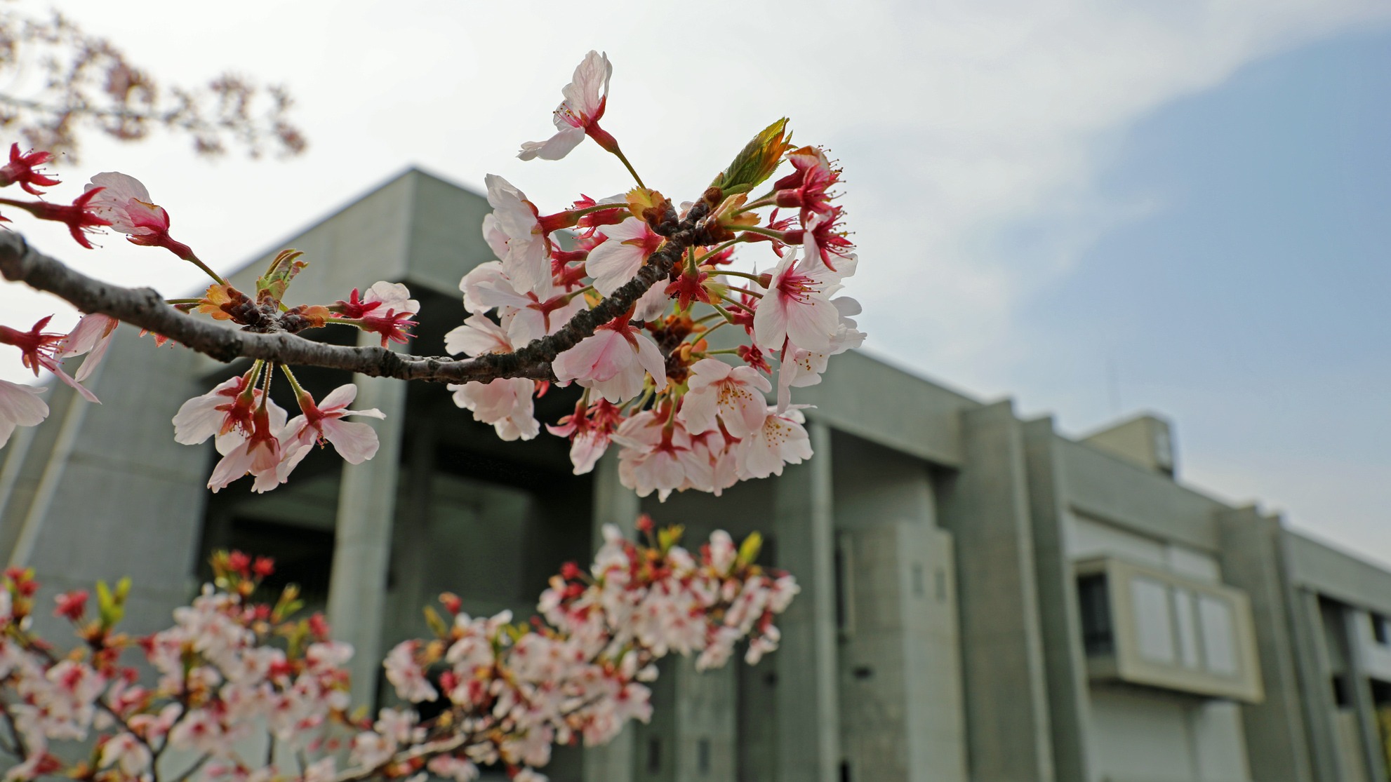 Nagoya University AY2026 Entrance Ceremony