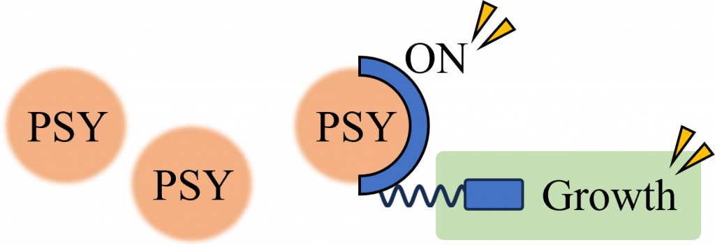 Conceptual diagram of PSY binding to its receptor. In this case, the roots grow long.
