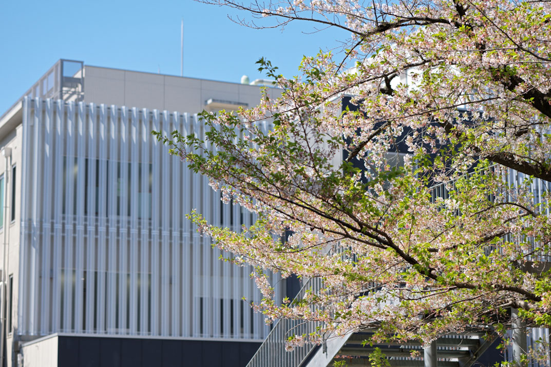 Nagoya University researchers awarded Commendation for Science and Technology by MEXT