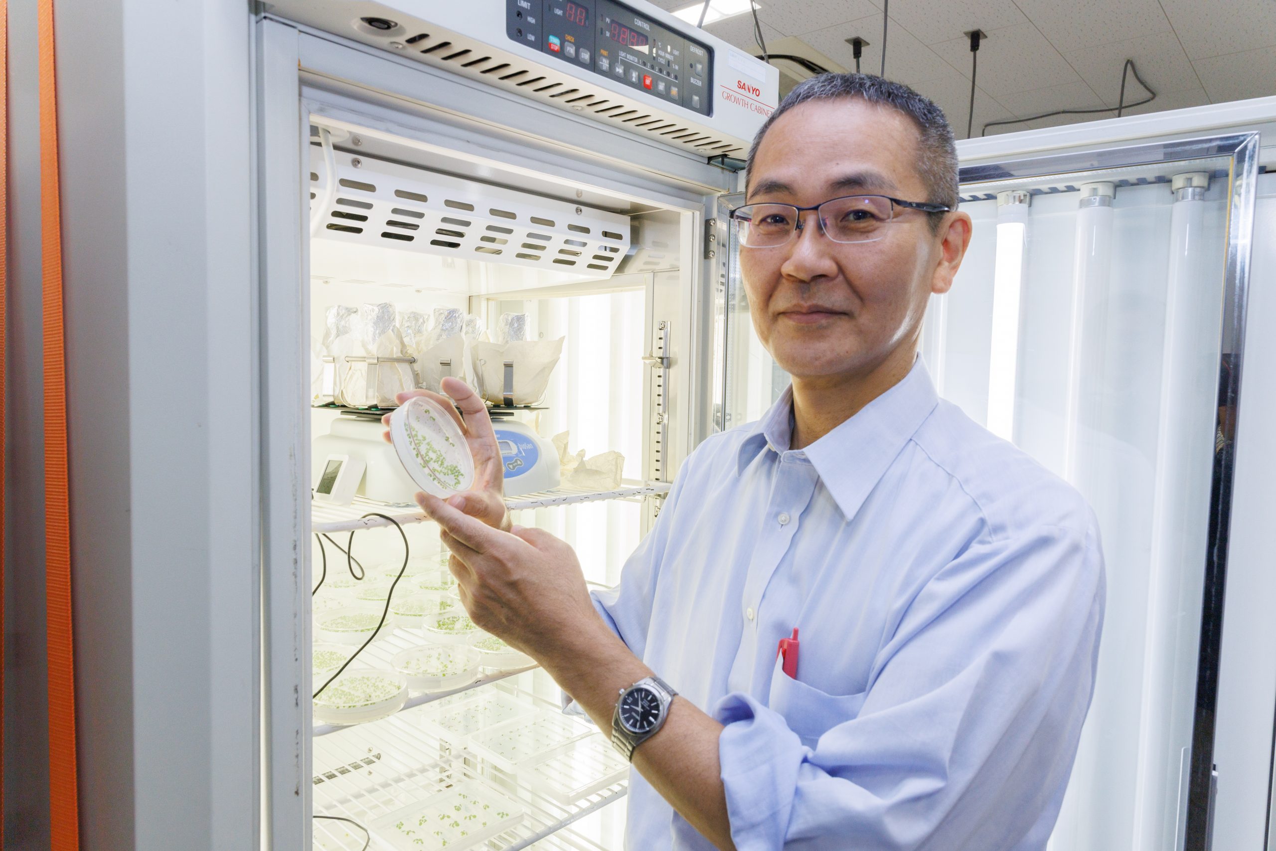 Professor Hitoshi Sakakibara combines genetics and chemical precision to uncover the root signal that tells a plant’s leaves and flowers to grow