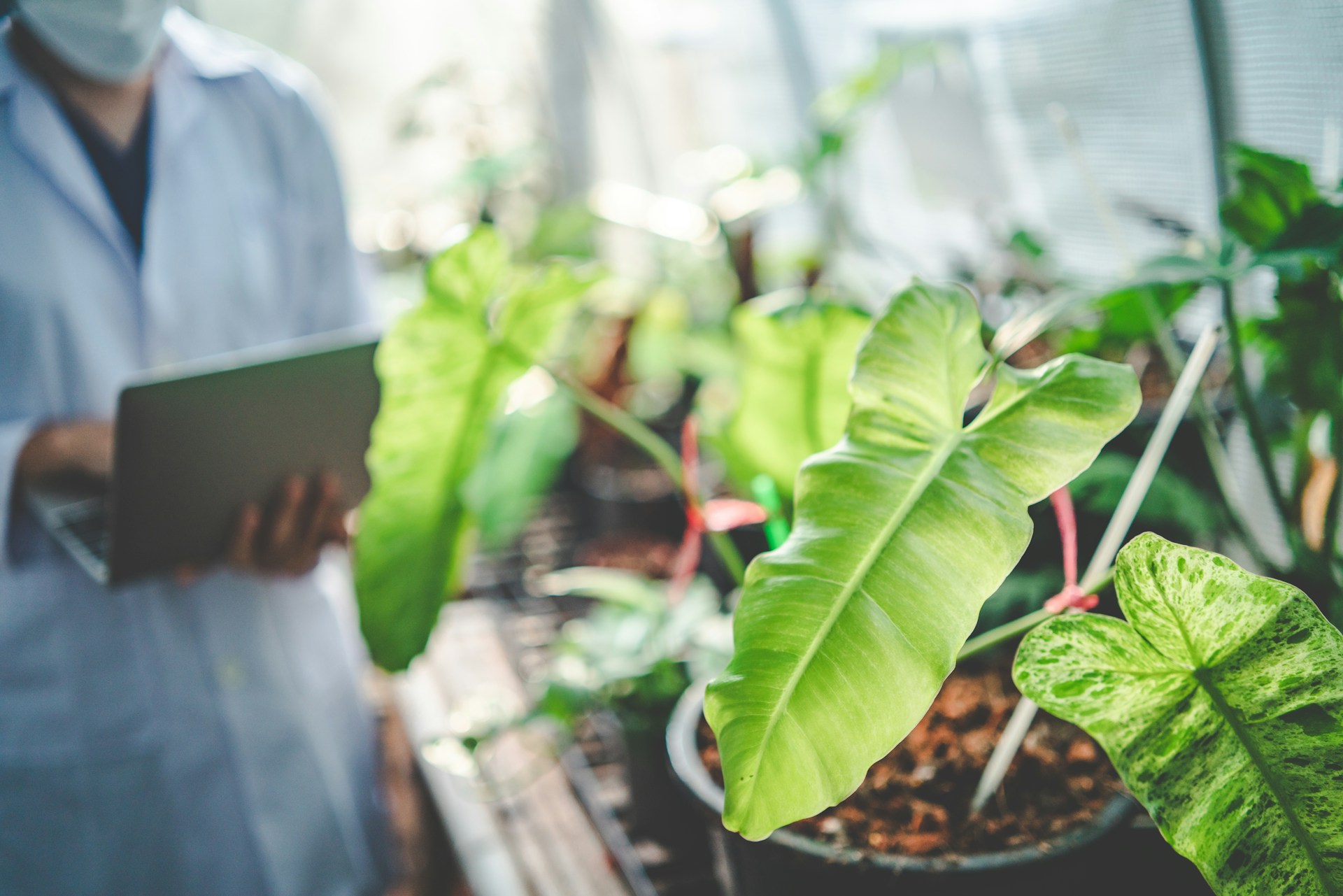 Seminar: Agriculture~ 20th ICREA Open Forum (ICREA), 21th Global Plasma Forum (cLPS)