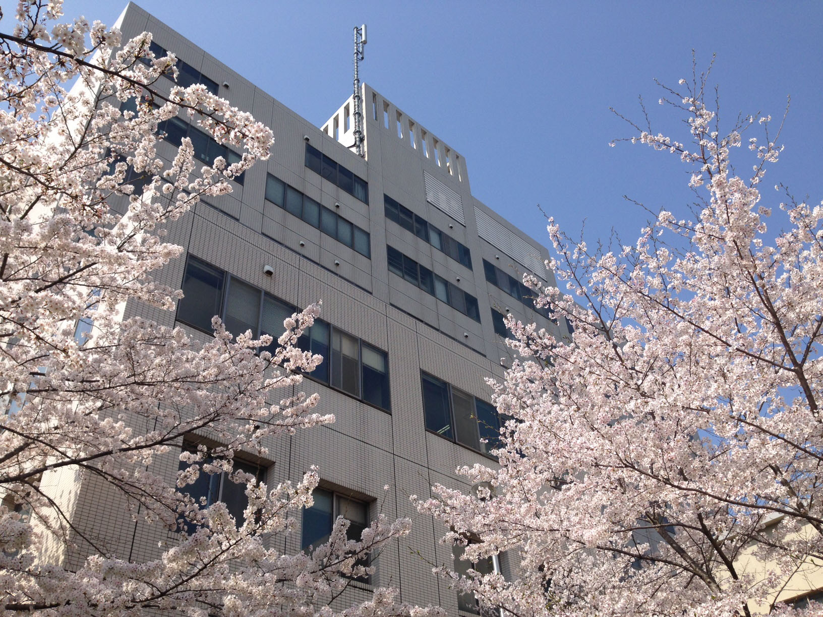 Nagoya University GSID announces ADB-Japan Scholarship Program applications for 2027