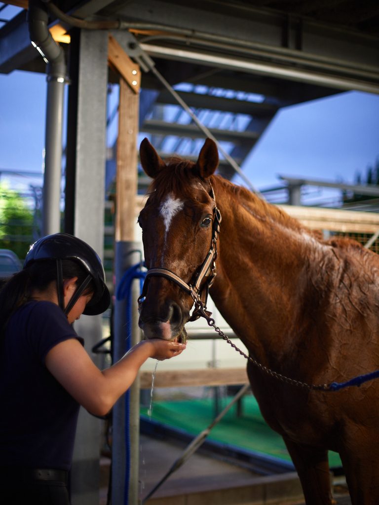 Student feeding water to the club horse named "Biscuit"