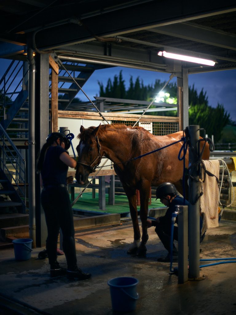 Students tending to the club favorite horse named "Biscuit" after training