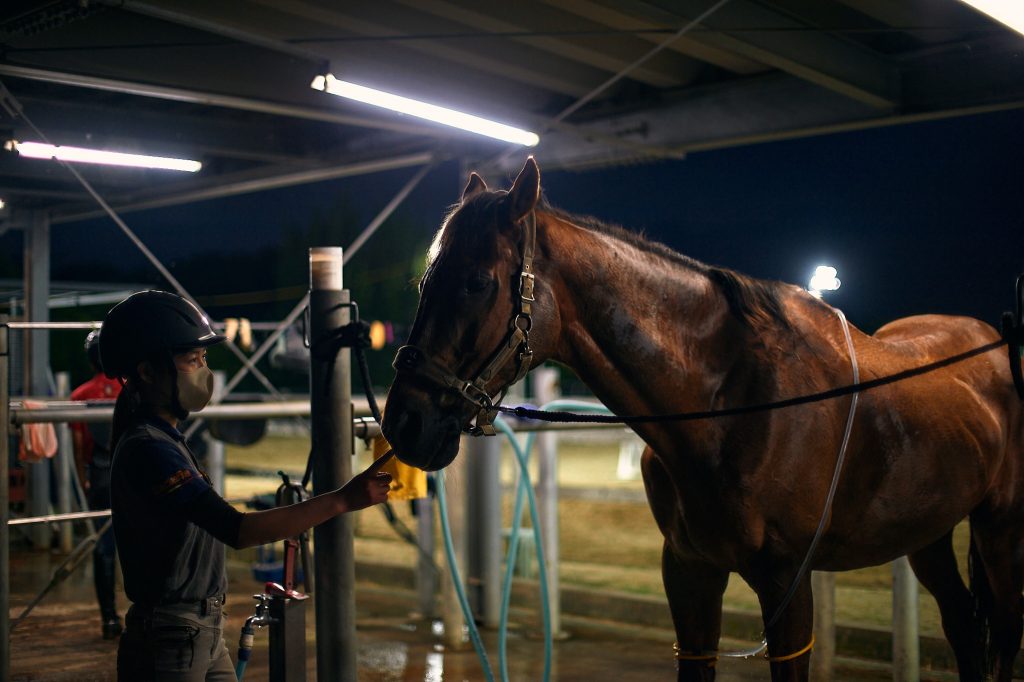Student interacts with club horse after training