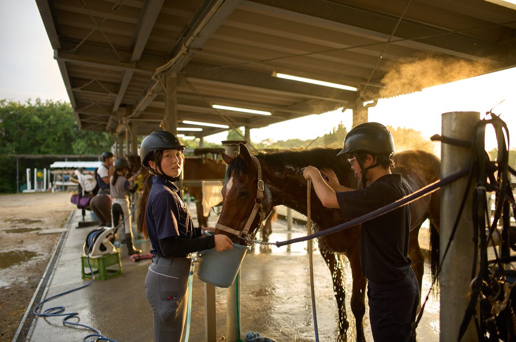 Students help a club horse cool down after intense training
