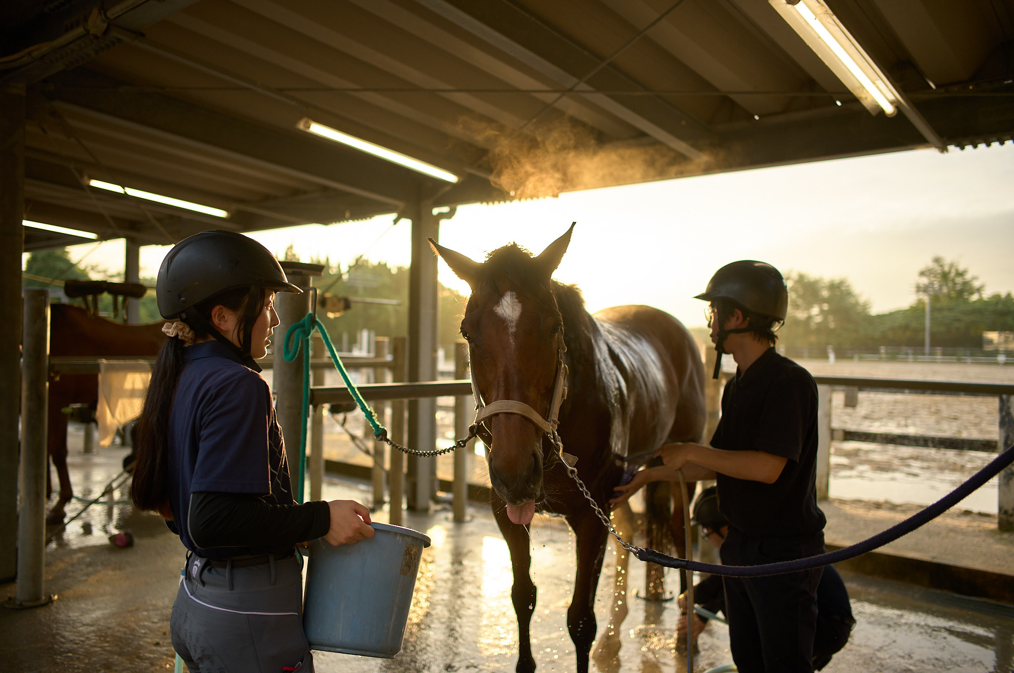 Training with the Nagoya University Equestrian Club