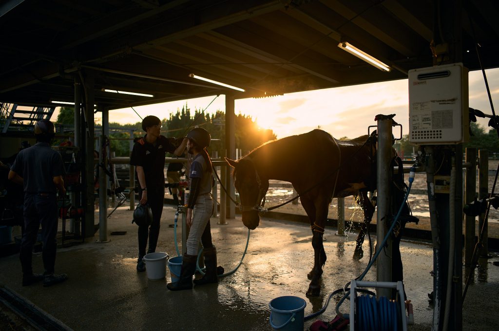 Students help a club horse cool down after intense training