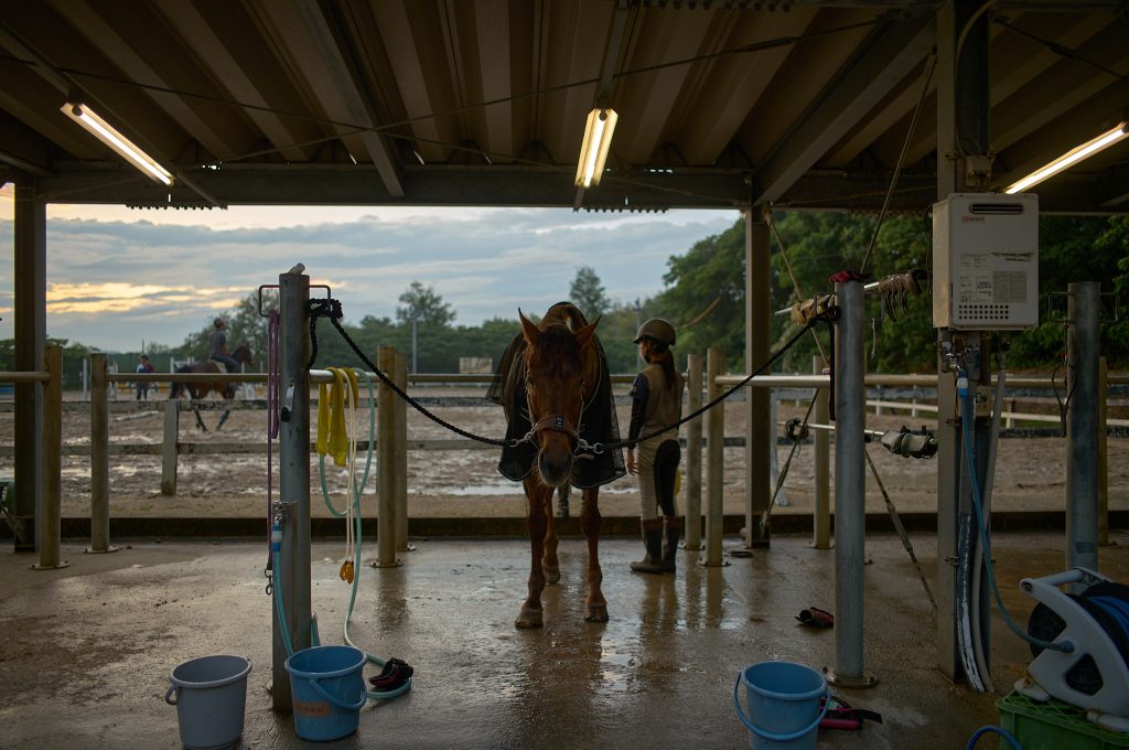 A club horse awaits return back to the stables after cleaning