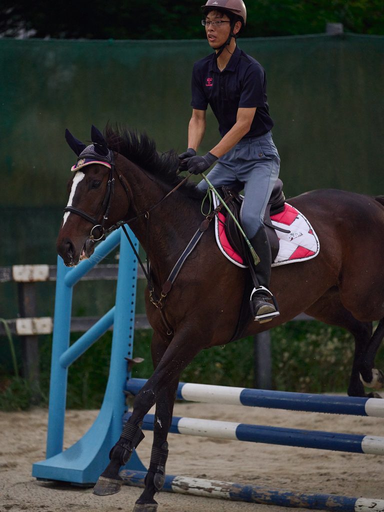 Student jumps a horse over the hurdle