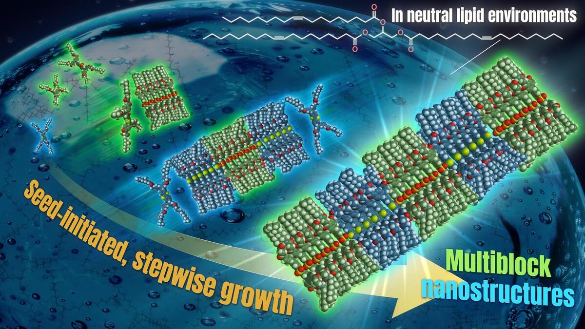 Neutral lipids enable precision control over supramolecular polymerization