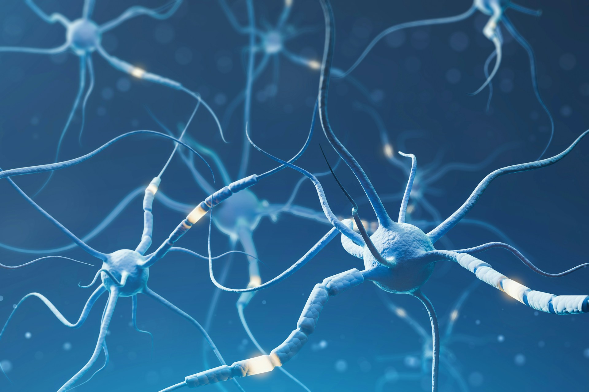 Alzheimer-related changes in the brain may affect prognosis in ALS
